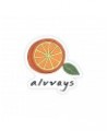 $0.99 Alvvays Half Orange Sticker (Die-Cut) Accessories